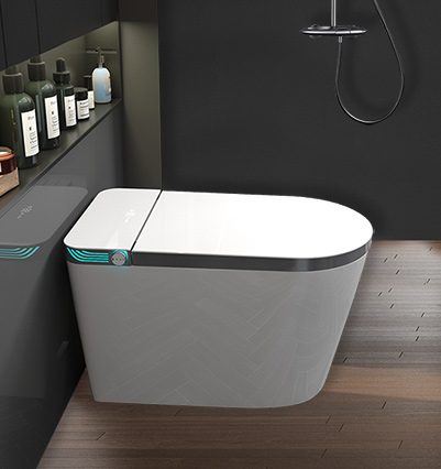 key-features-of-automatic-toilet-seats