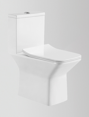 One Piece Water Closet Enzo Neo