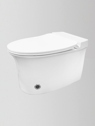 Wall Mounted Water Closet Mysteria Tankfree